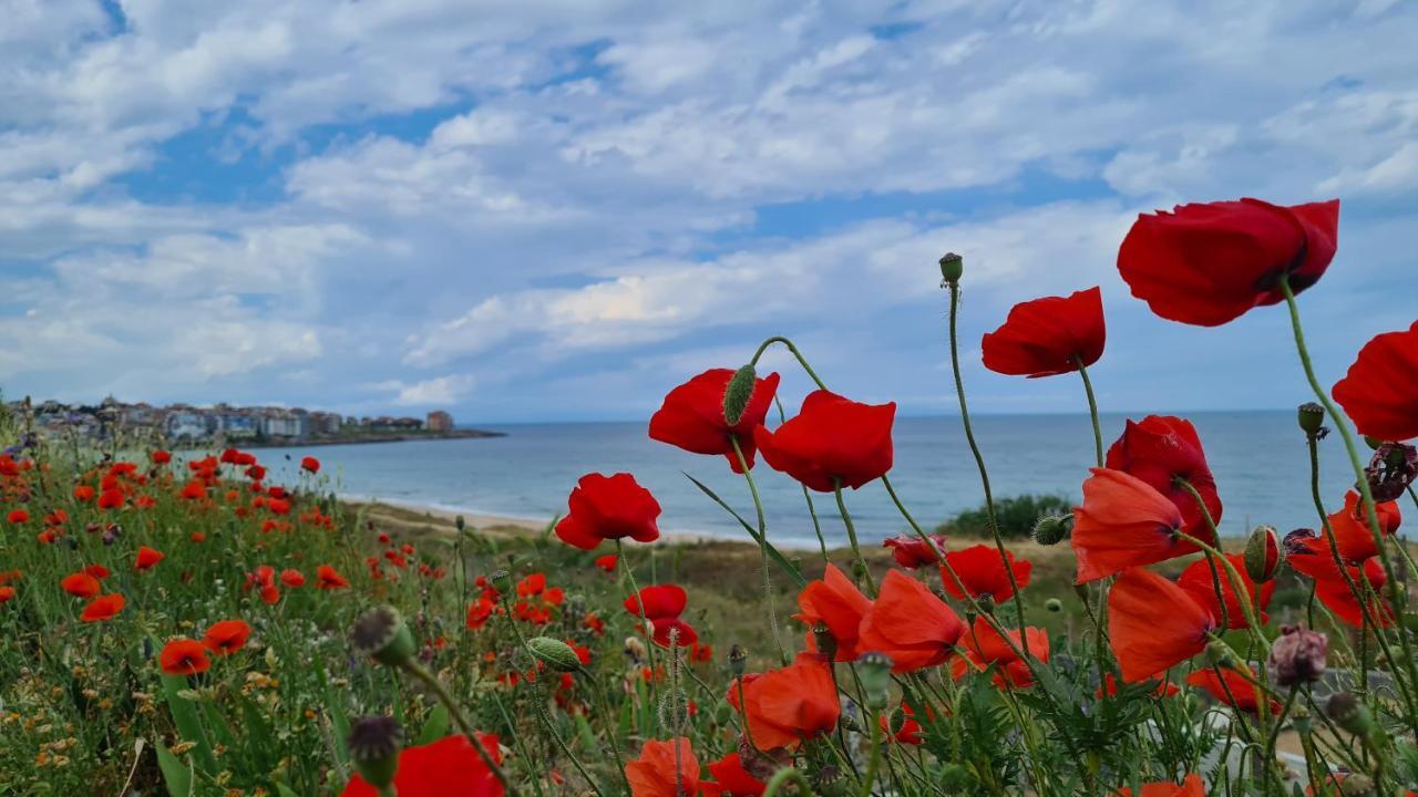 Villa Flora Szozopol Kültér fotó